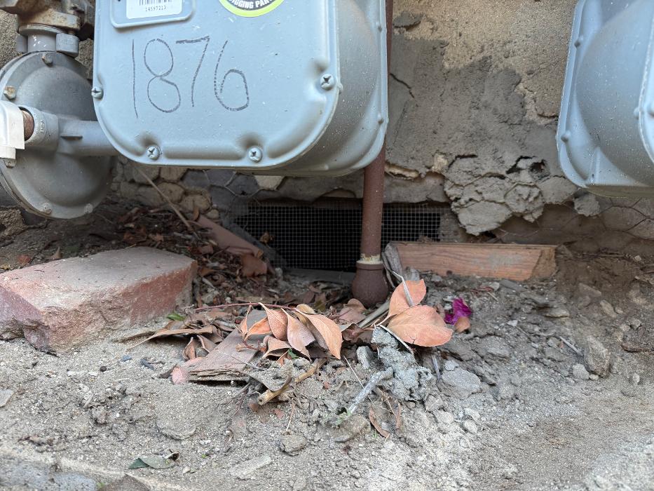 Protex Pest and Termite Treatments - La Canada Flintridge, CA