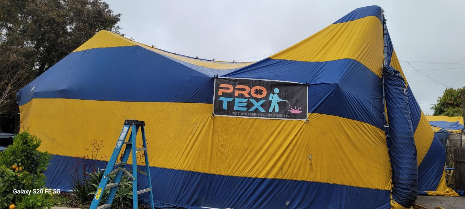 Protex Pest and Termite Treatments - La Canada Flintridge, CA
