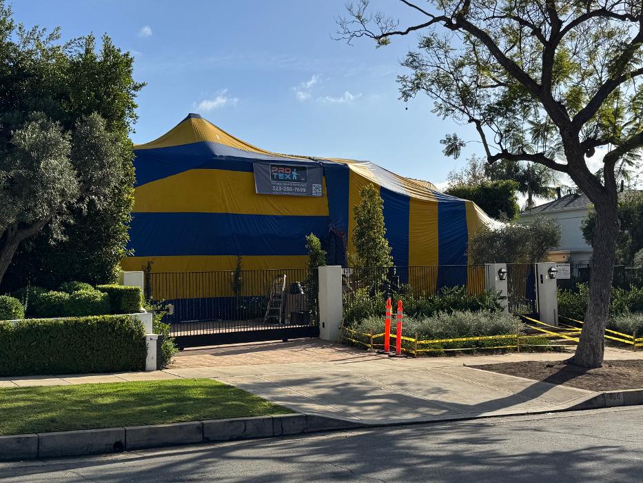 Protex Pest and Termite Treatments - La Canada Flintridge, CA