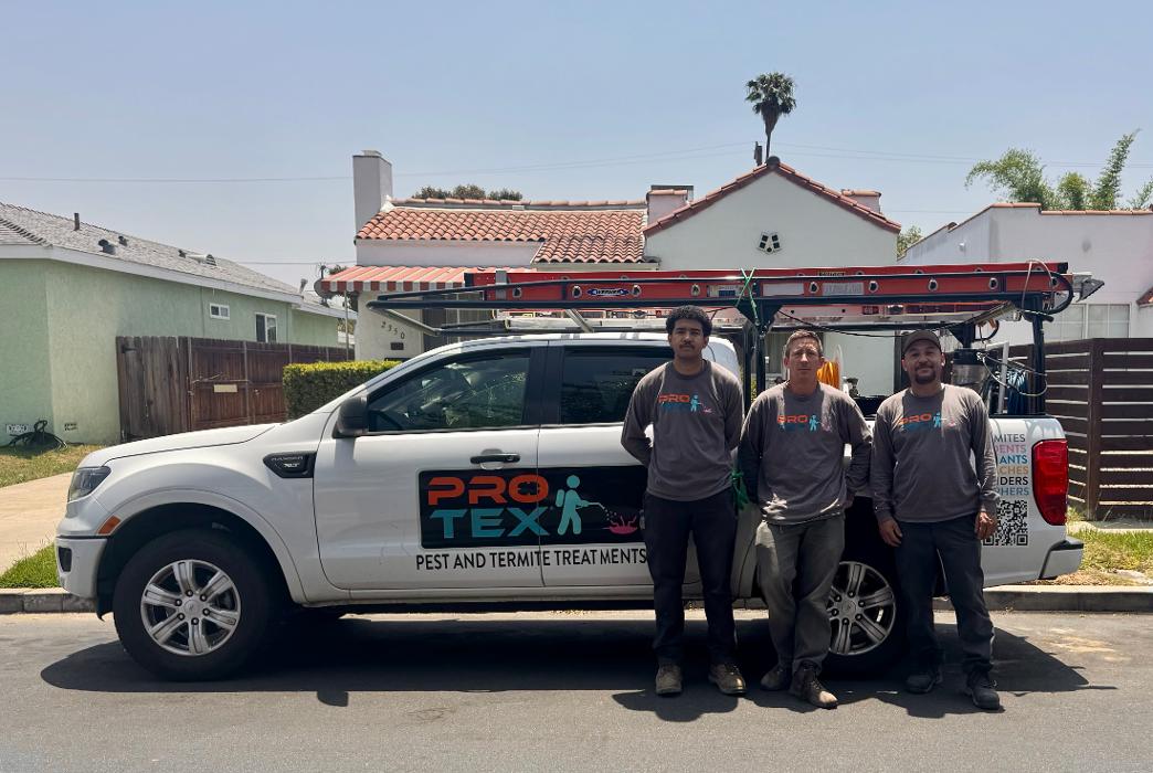 Protex Pest and Termite Treatments - La Canada Flintridge, CA