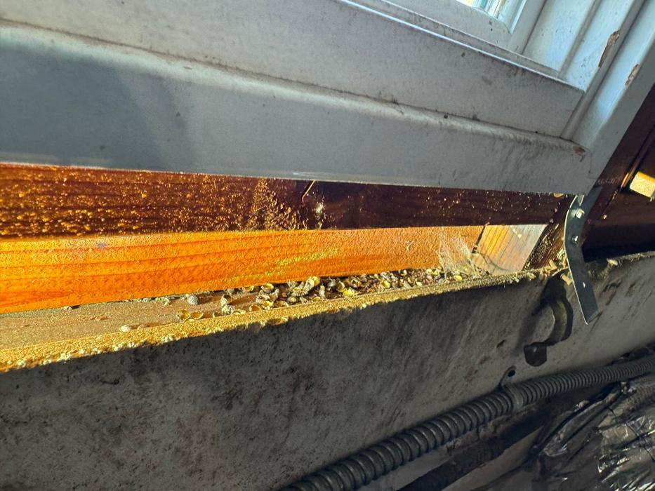 Protex Pest and Termite Treatments - La Canada Flintridge, CA