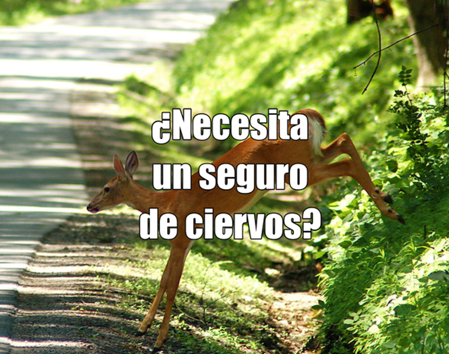 A+ Financial Services, Inc. #07 - Decatur, GA