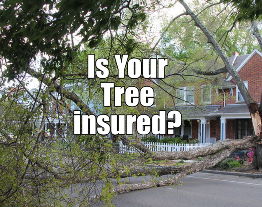 A+ Financial Services, Inc. #07 - Decatur, GA