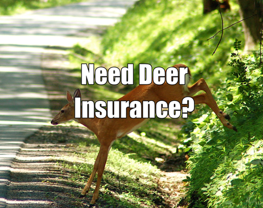 A+ Financial Services, Inc. #07 - Decatur, GA