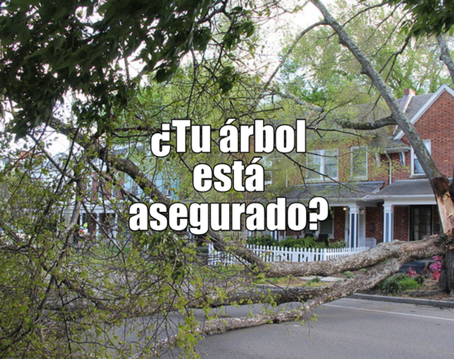 A+ Financial Services, Inc. #07 - Decatur, GA