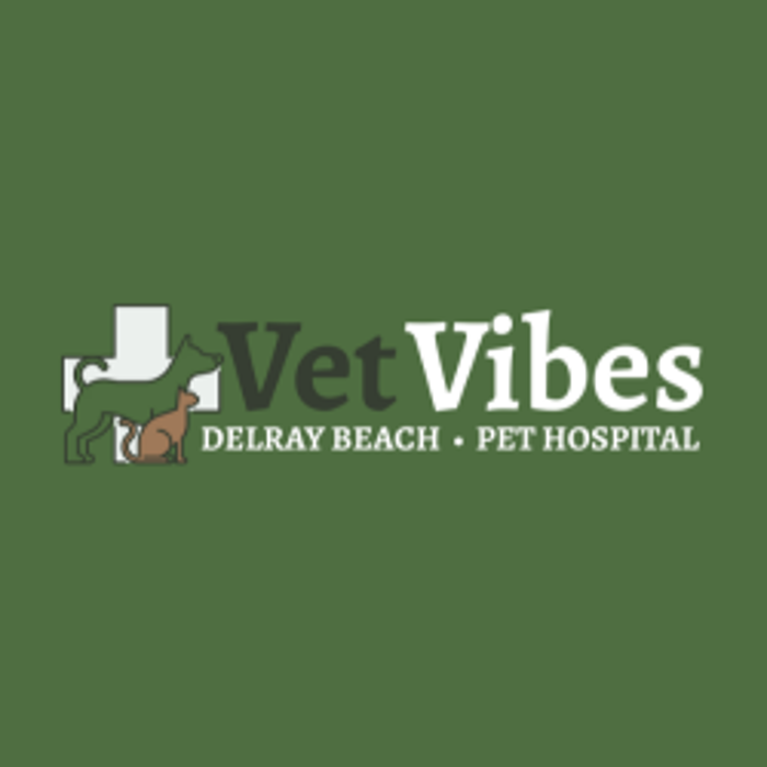 Vet Vibes Pet Hospital - Delray Beach, FL
