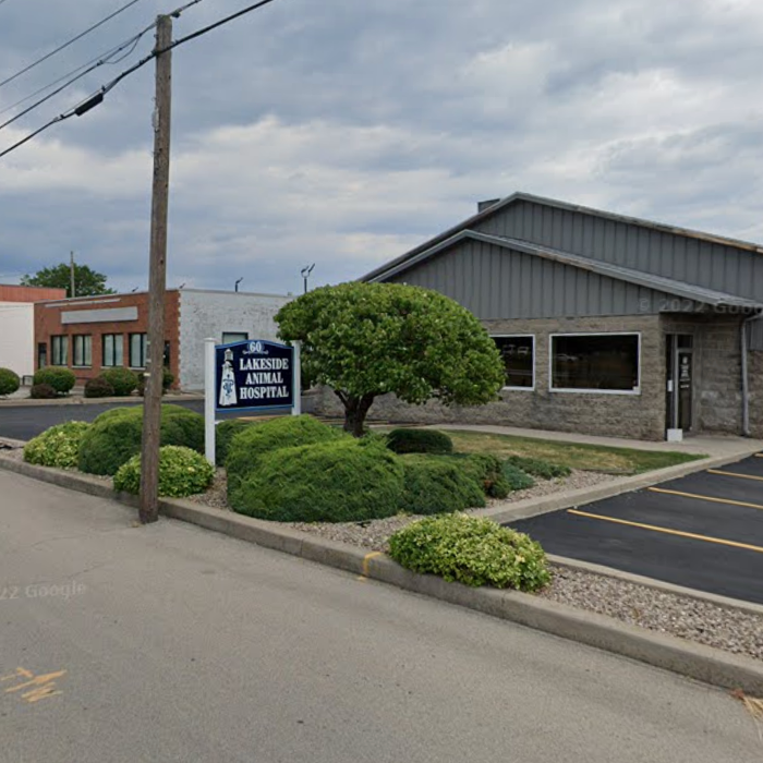 Lakeside Animal Hospital