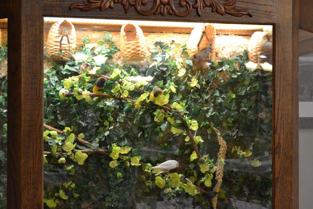 Sevierville Health and Rehabilitation Center - Sevierville, TN