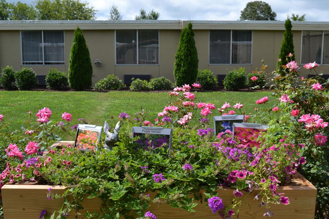 Sevierville Health and Rehabilitation Center - Sevierville, TN