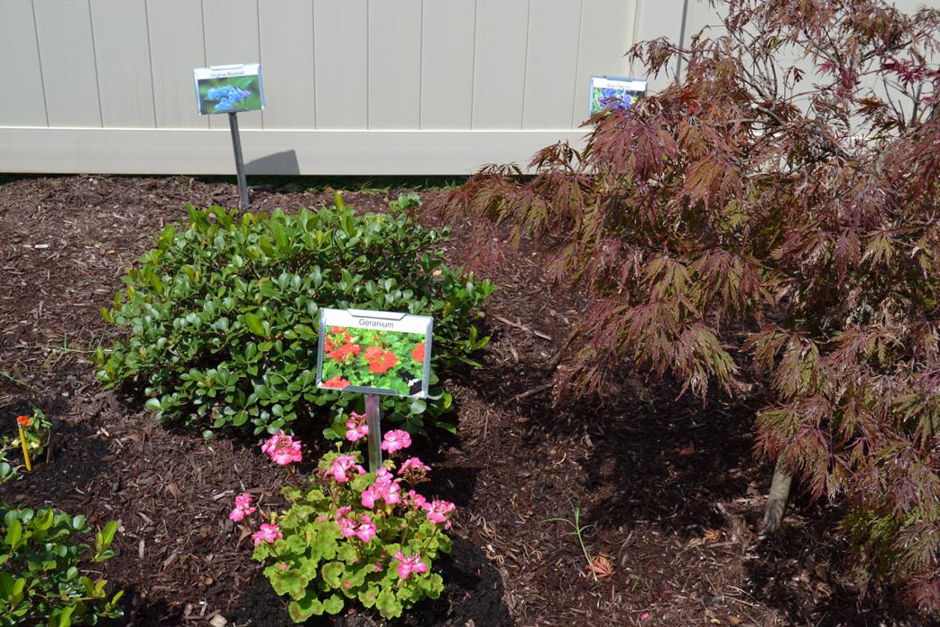 Sevierville Health and Rehabilitation Center - Sevierville, TN