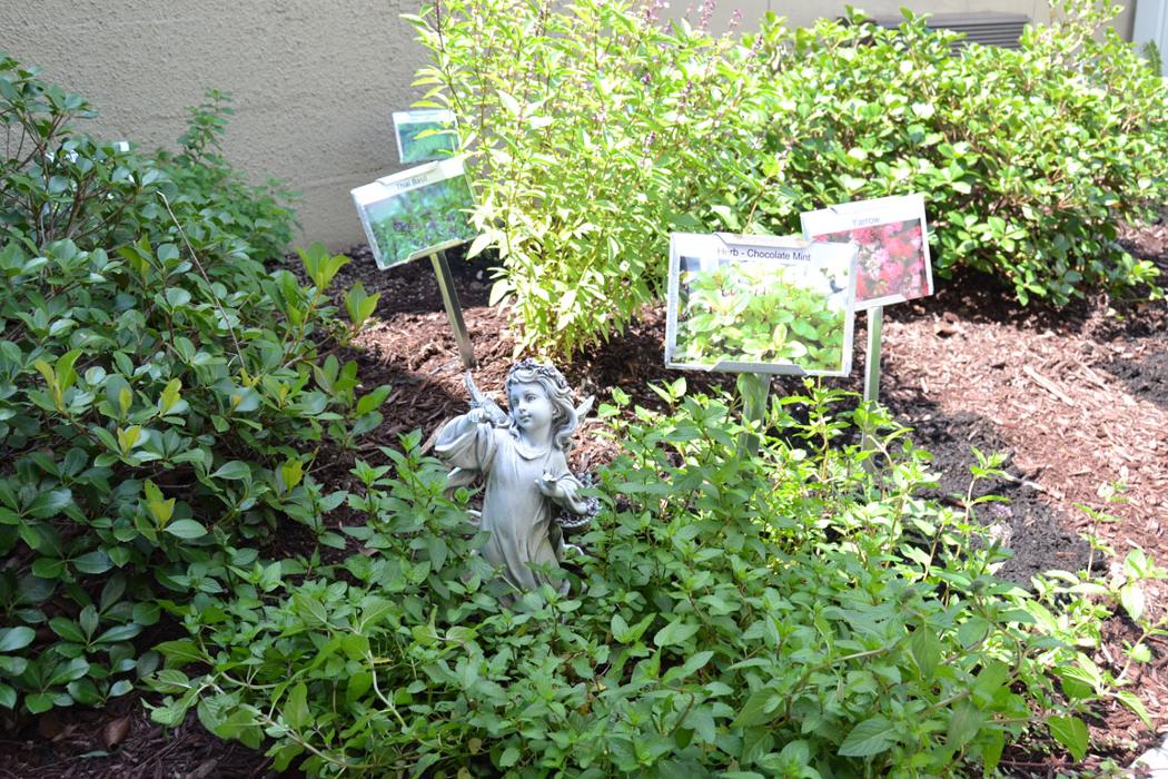 Sevierville Health and Rehabilitation Center - Sevierville, TN