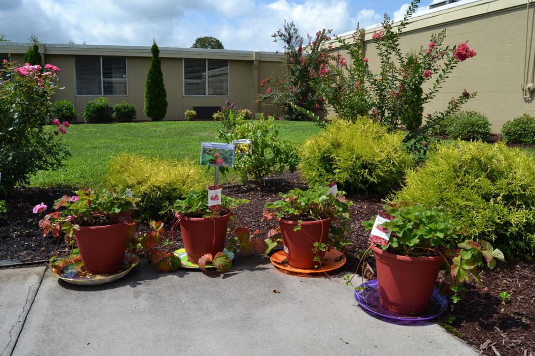 Sevierville Health and Rehabilitation Center - Sevierville, TN