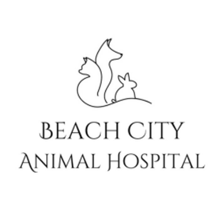 Beach City Animal Hospital - Huntington Beach, CA