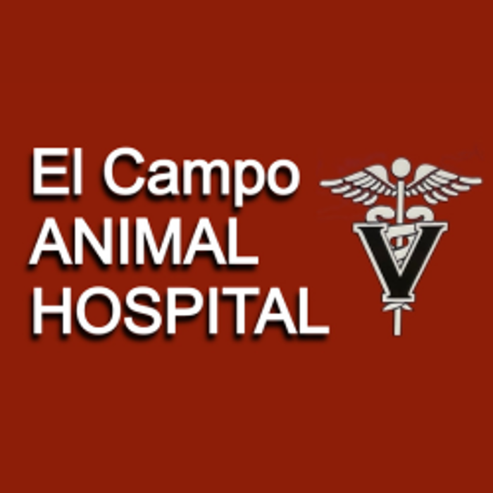El Campo Animal Hospital