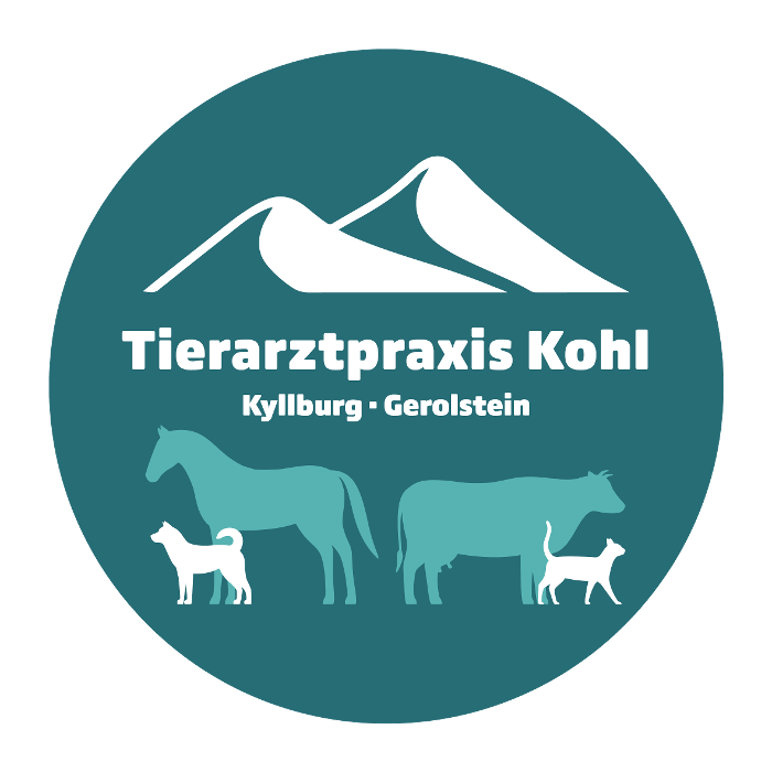 Tierarztpraxis Kohl Kyllburg-Gerolstein GmbH, Industriestraße in Kyllburg
