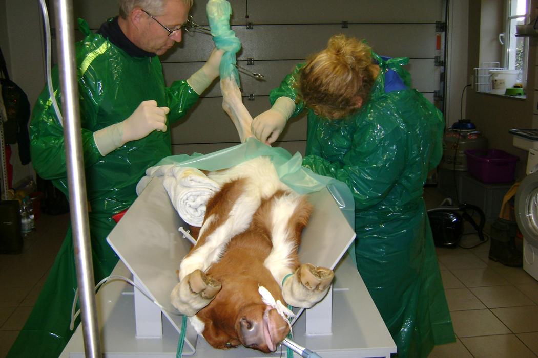 Tierärzte Mettendorf, Betzenweg in Mettendorf