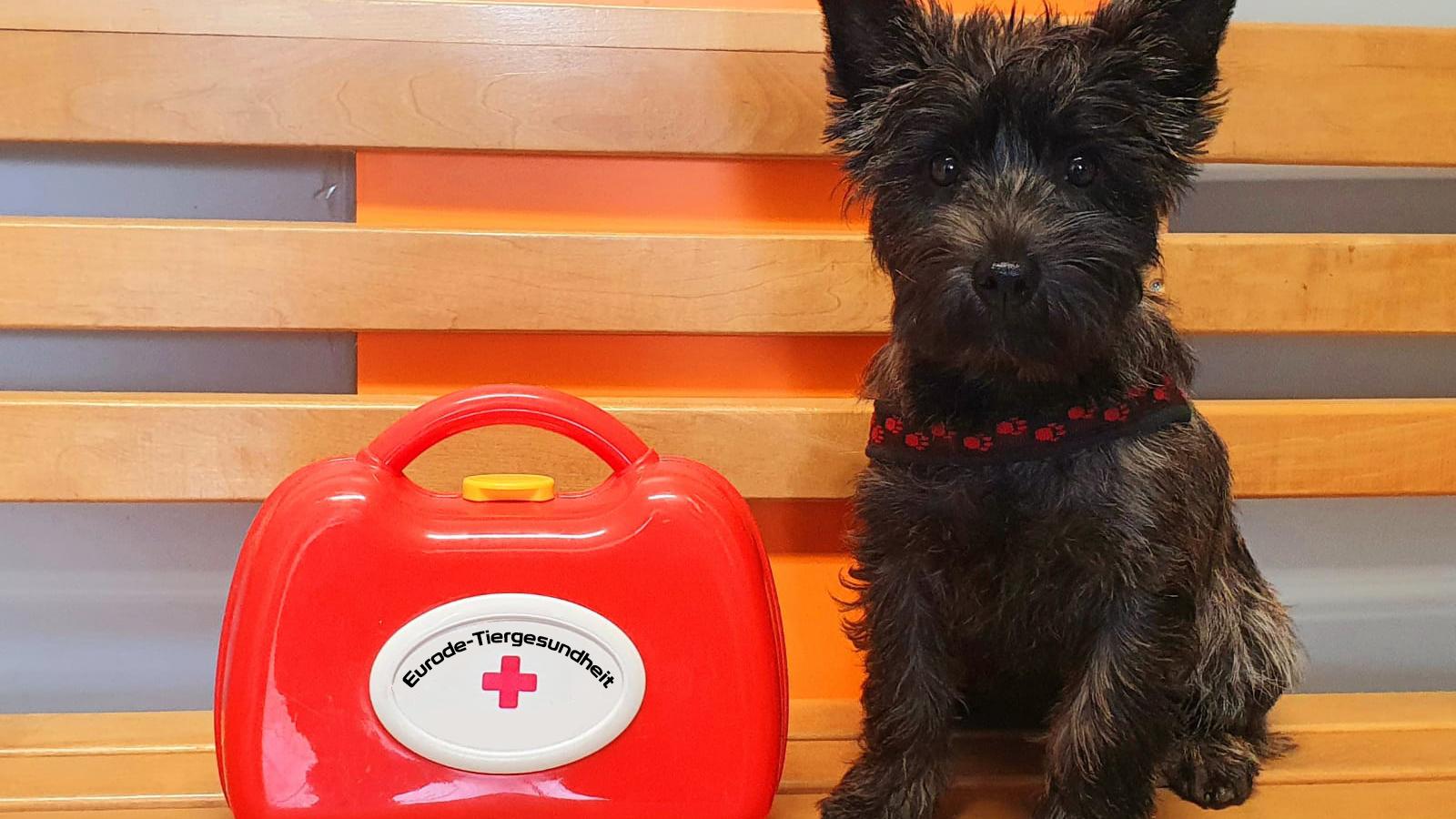 Eurode-Tiergesundheit Kleintierpraxis Dr. Mertens, Geilenkirchener Straße in Herzogenrath