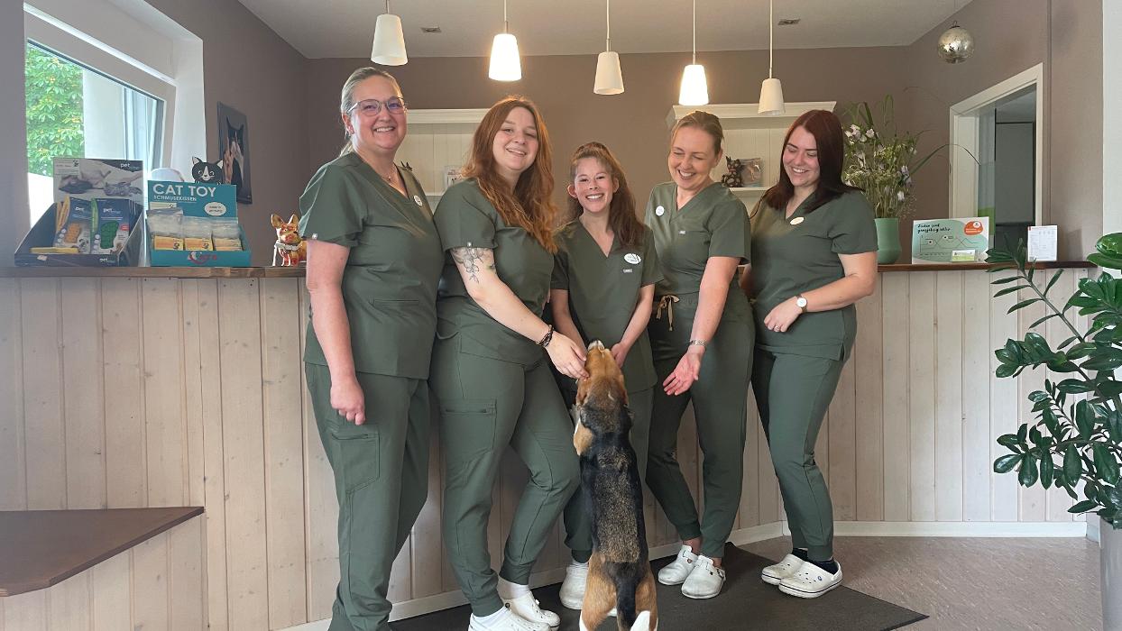 Tierärzte am Kuhberg, Warndtstraße in Ulm