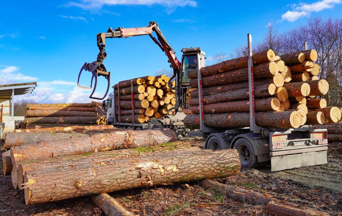 Benkö Holz, Mühlhäuser in Kohfidisch