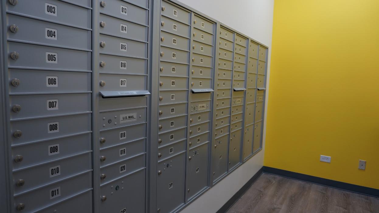 Blue Bird Pack And Ship Image