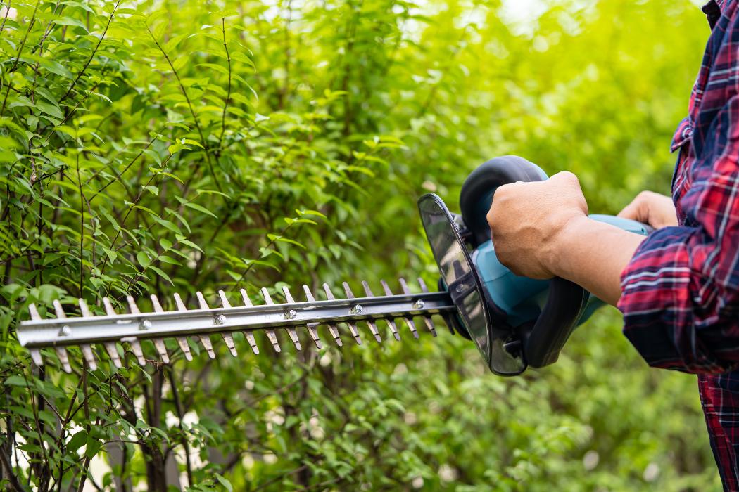 Toni's home services - Queen Creek, AZ