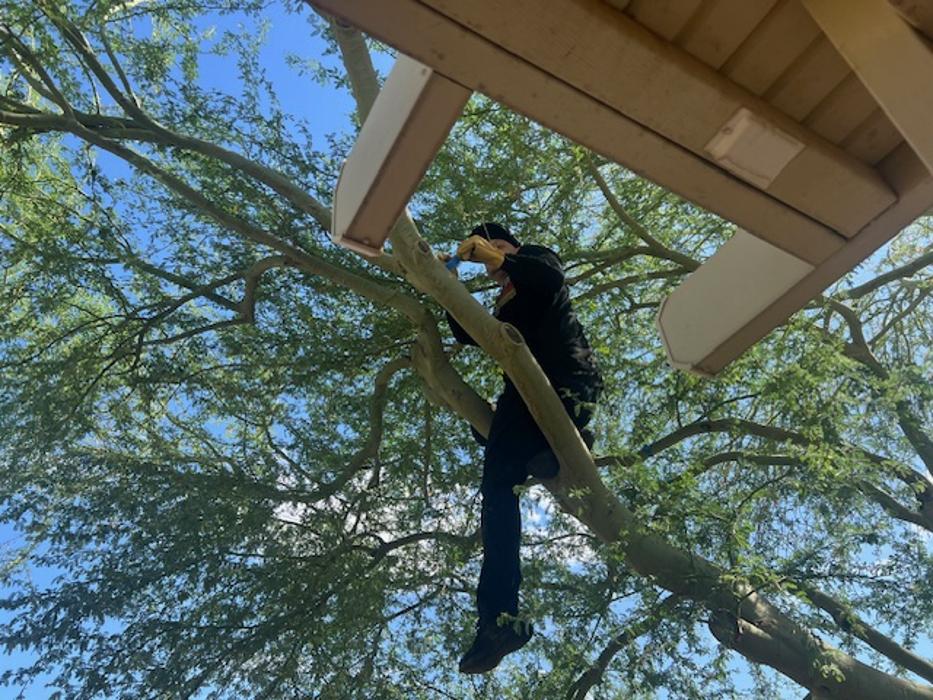 Toni's home services - Queen Creek, AZ