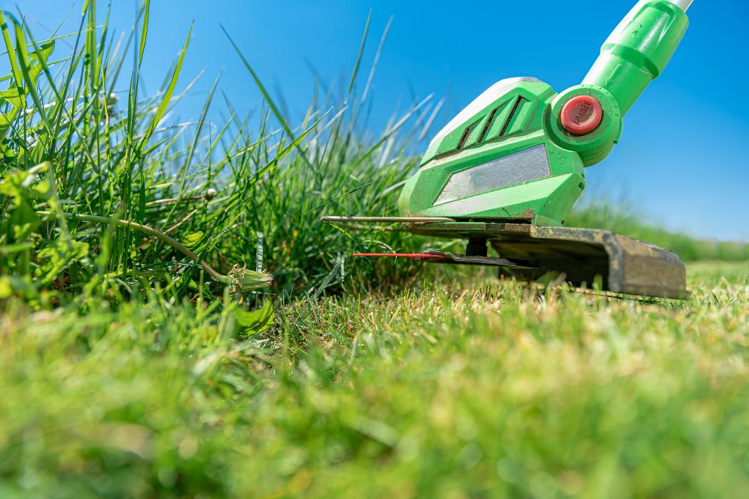 Toni's home services - Queen Creek, AZ