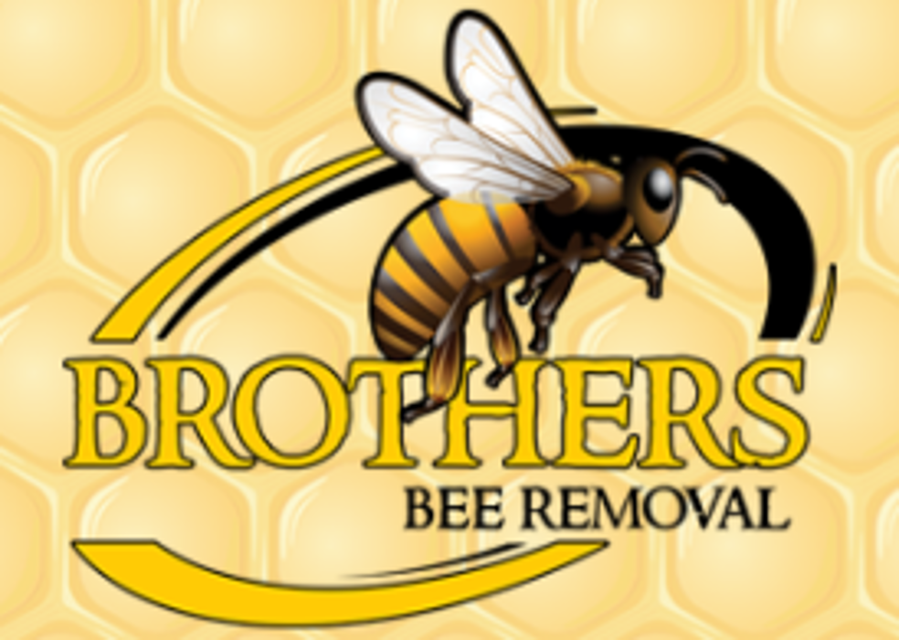 Brother's Bee Removal - Pearland, TX