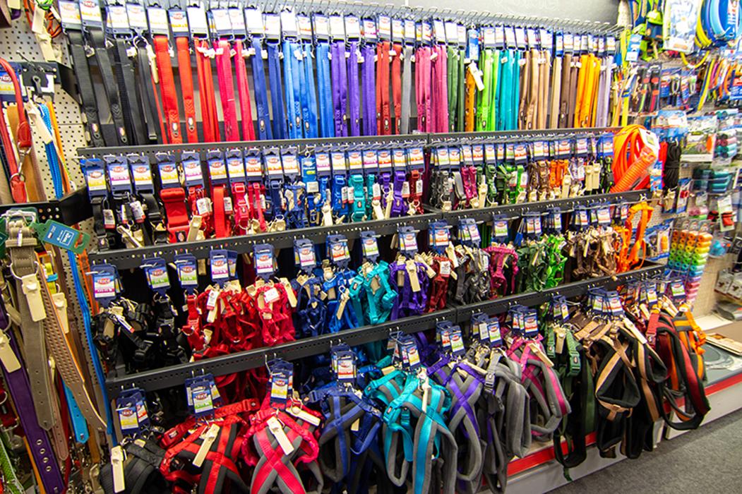 Zoofachmarkt Brändle, Max-Stromeyer-Straße in Konstanz