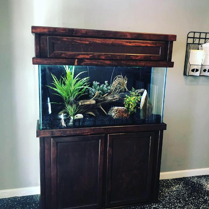 Aquarium Maintenance, LLC - Conroe, TX