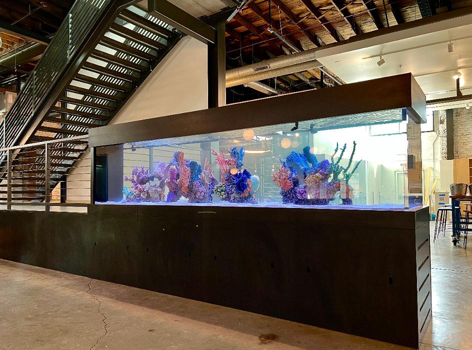 Aquarium Maintenance, LLC - Conroe, TX