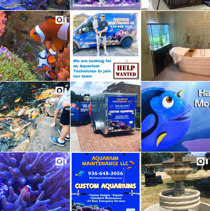 Aquarium Maintenance, LLC - Conroe, TX