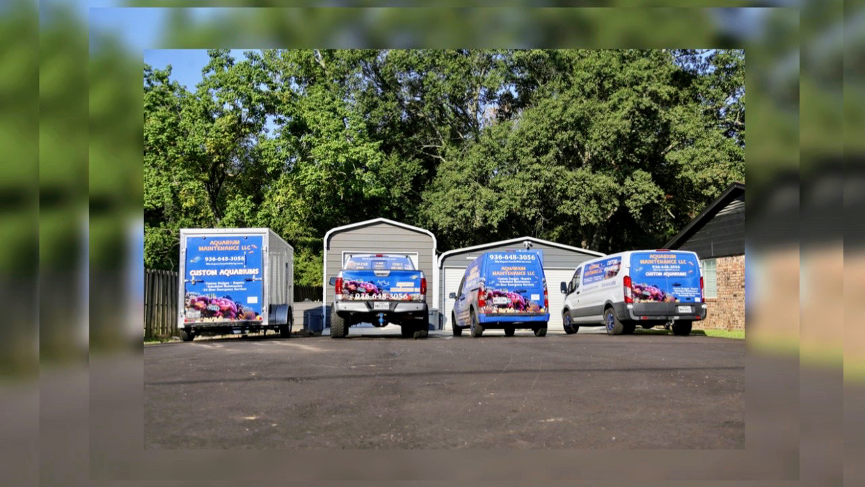 Aquarium Maintenance, LLC - Conroe, TX