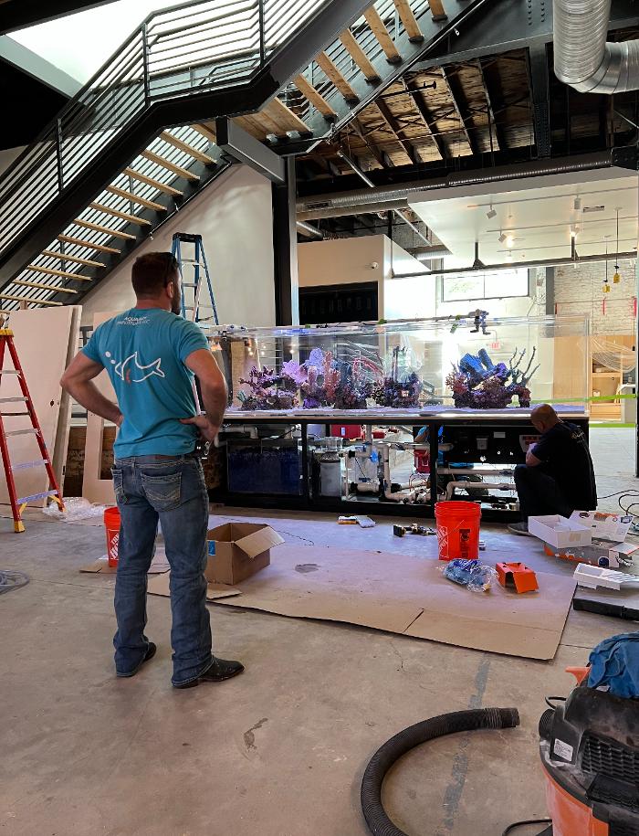 Aquarium Maintenance, LLC - Conroe, TX