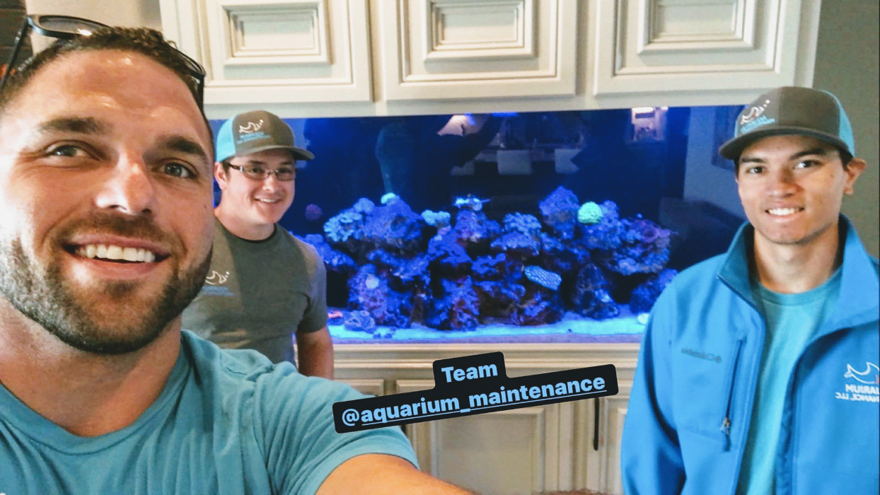 Aquarium Maintenance, LLC - Conroe, TX