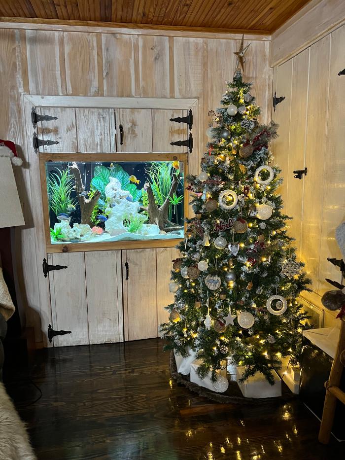 Aquarium Maintenance, LLC - Conroe, TX