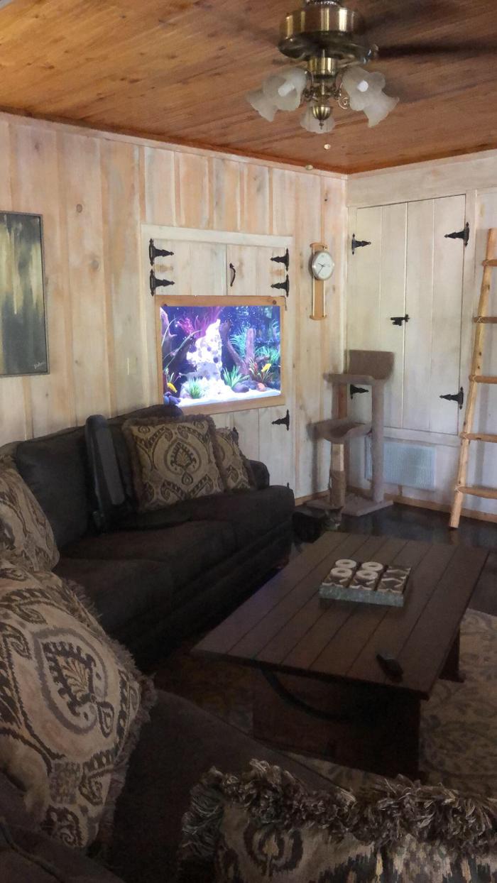 Aquarium Maintenance, LLC - Conroe, TX