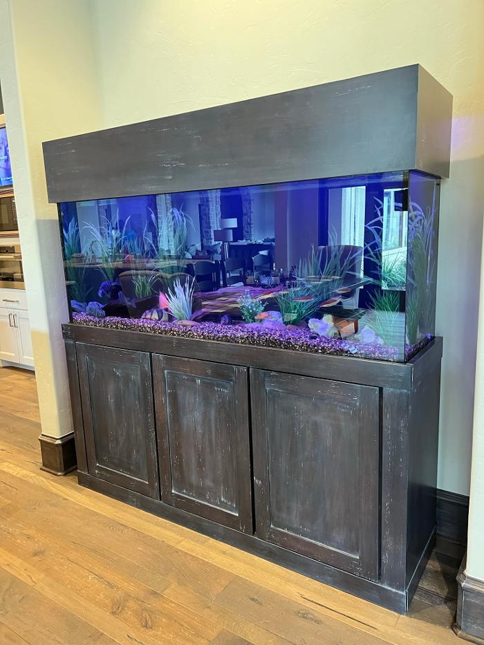 Aquarium Maintenance, LLC - Conroe, TX