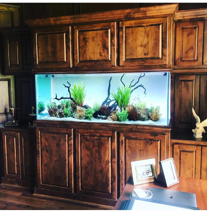 Aquarium Maintenance, LLC - Conroe, TX