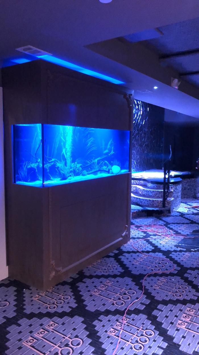 Aquarium Maintenance, LLC - Conroe, TX