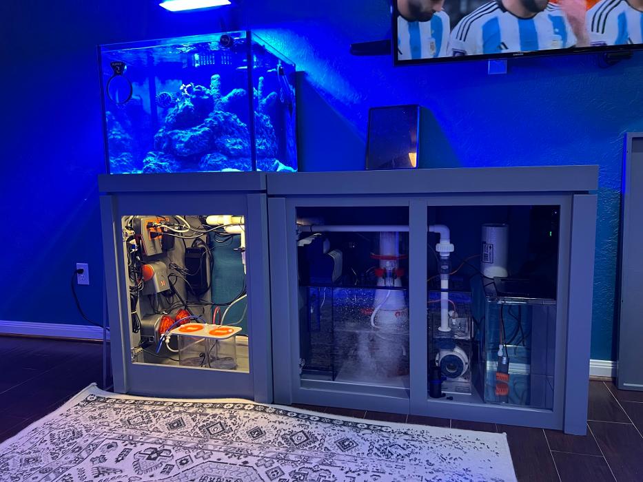 Aquarium Maintenance, LLC - Conroe, TX