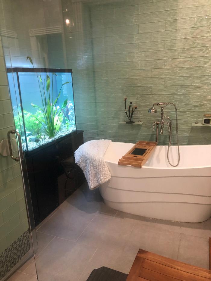 Aquarium Maintenance, LLC - Conroe, TX