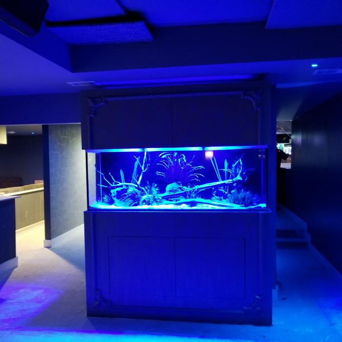 Aquarium Maintenance, LLC - Conroe, TX