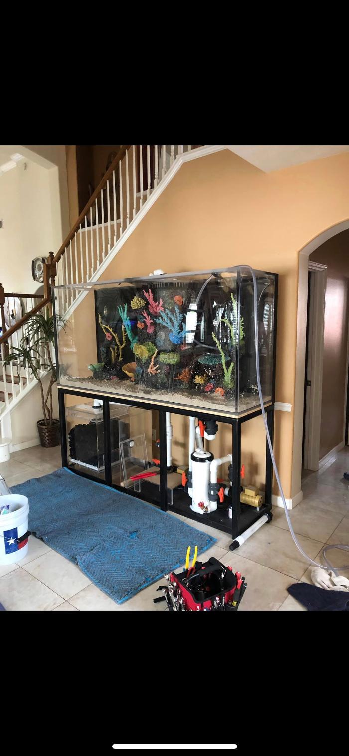 Aquarium Maintenance, LLC - Conroe, TX