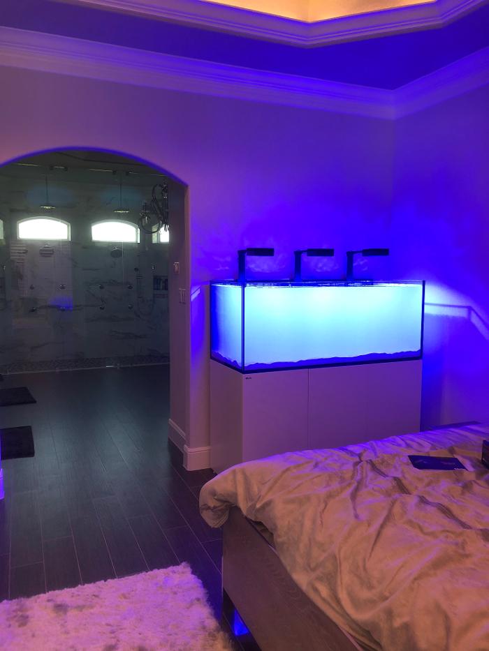 Aquarium Maintenance, LLC - Conroe, TX