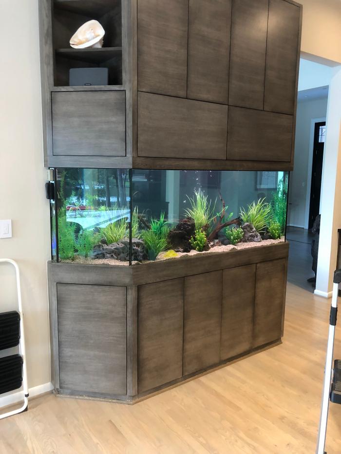 Aquarium Maintenance, LLC - Conroe, TX