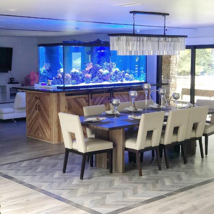 Aquarium Maintenance, LLC - Conroe, TX