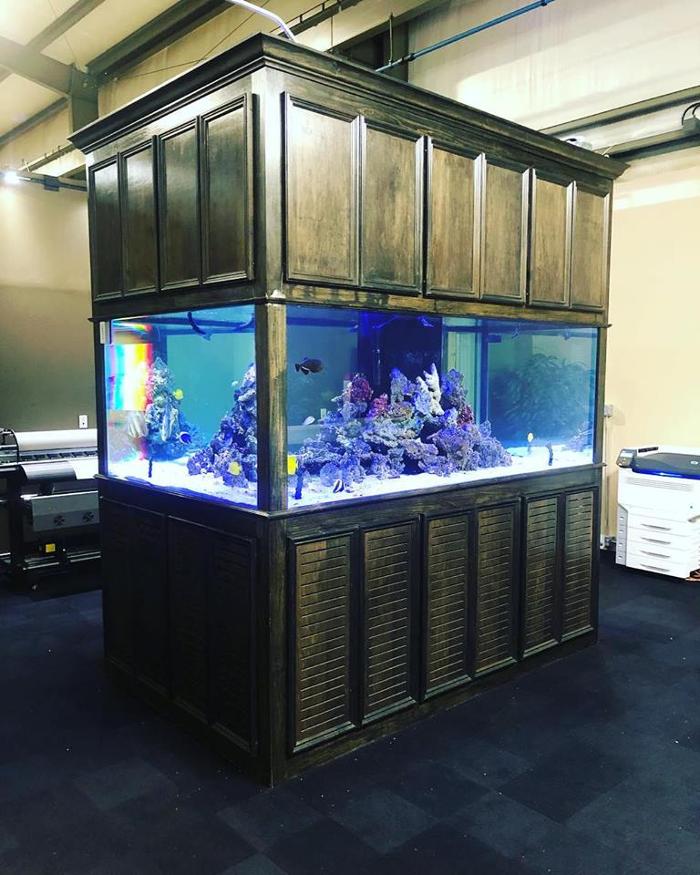 Aquarium Maintenance, LLC - Conroe, TX
