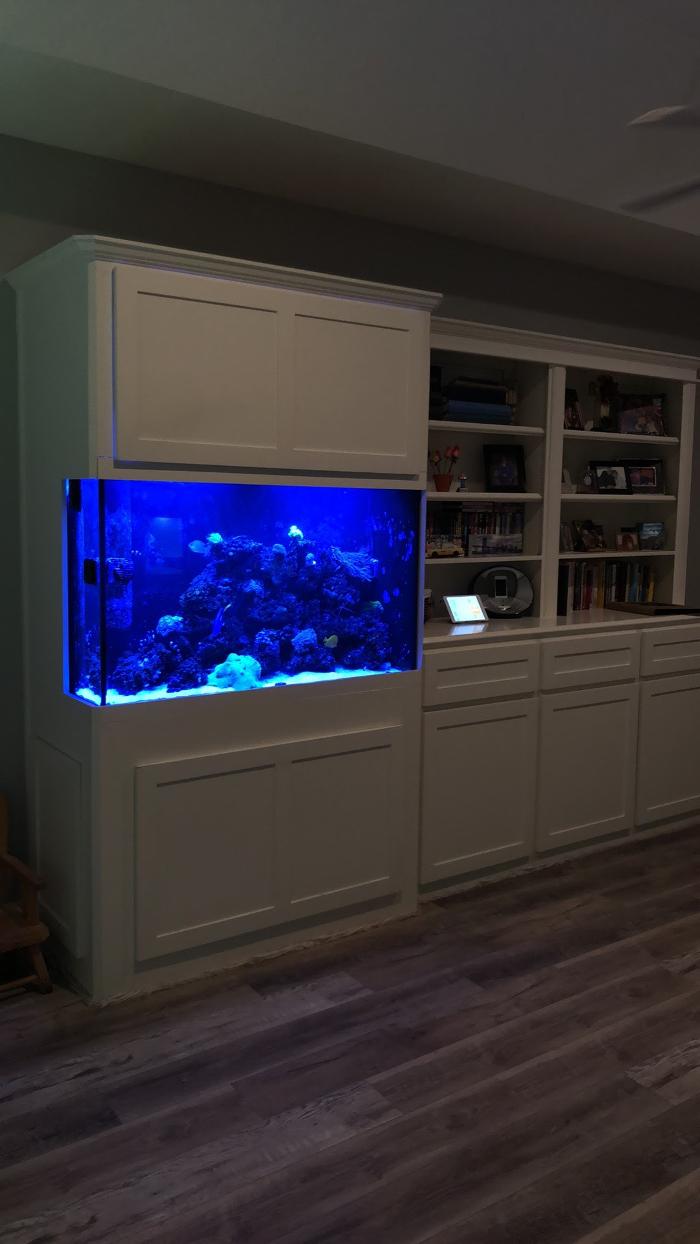 Aquarium Maintenance, LLC - Conroe, TX