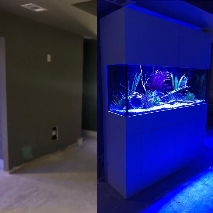 Aquarium Maintenance, LLC - Conroe, TX